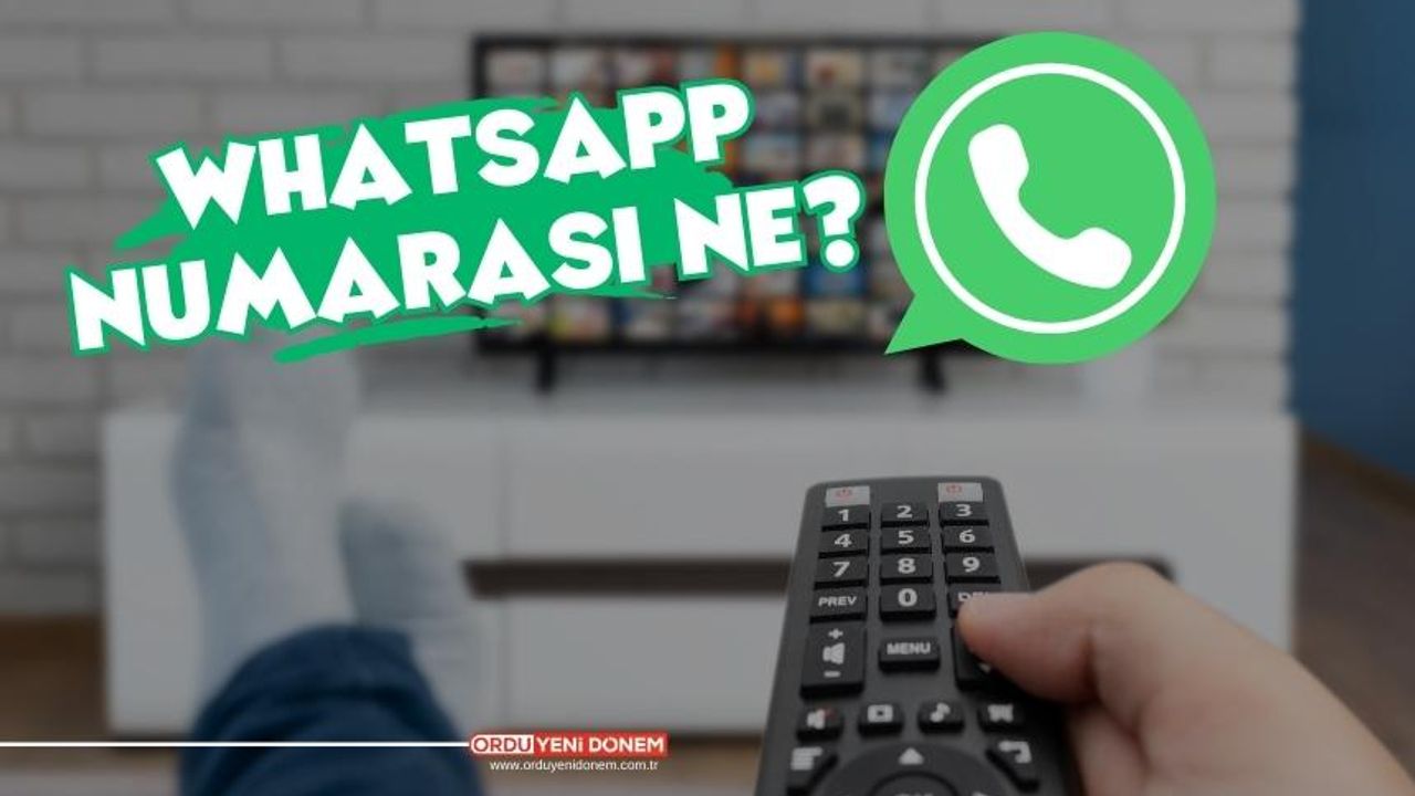 TV 360 telefon numarası whatsapp ihbar hattı nedir? - Ordu Haberleri