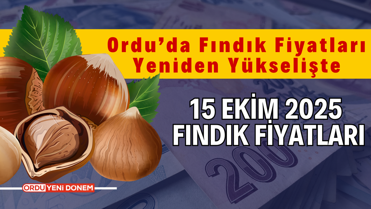 Ordu’da Fındık Fiyatları Yeniden Yükselişte