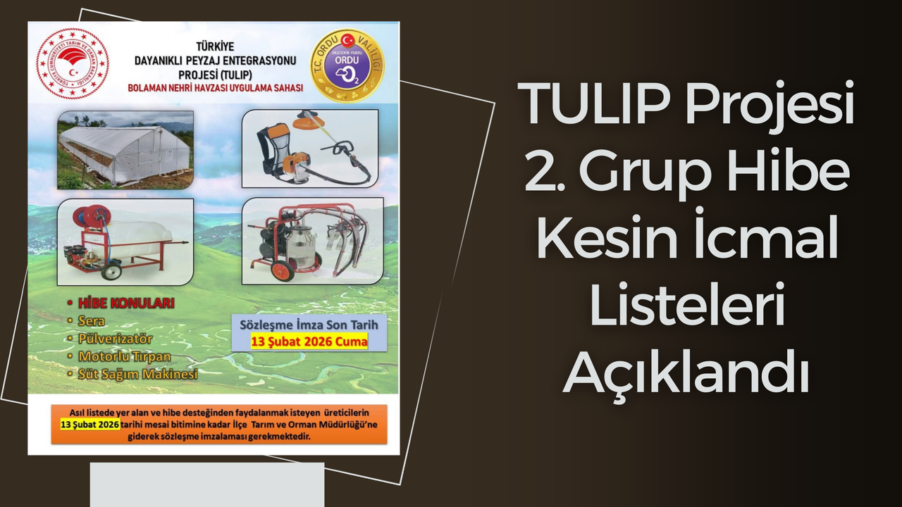 TULIP Projesi 2. Grup Hibe Kesin İcmal Listeleri Açıklandı