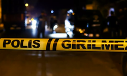 ORDU’DA ARAÇ FINDIK BAHÇESİNE YUVARLANDI: 1 ÖLÜ, 2 YARALI