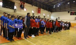 YILDIZLAR BADMINTON MÜSABAKALARI ORDU'DA BAŞLADI