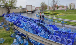 YÜZLERCE DAMACANA YOL KENARINA SAÇILDI