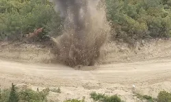 GELİBOLU YARIMADASI'NDA ÇANAKKALE SAVAŞLARI'NDAN KALMA TOP MERMİSİ BULUNDU