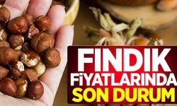 2 EYLÜL ORDU'DA FINDIK FİYATLARI