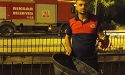 KEDİ YAVRUSU DEREYE DÜŞTÜ! EKİPLER SEFERBER OLDU!