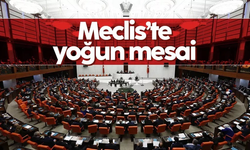 MECLİS'TE YOĞUN MESAİ: KOMİSYONLAR TOPLANACAK!