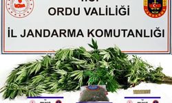 ORDU'DA ESRAR OPERASYONU!