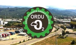 ORDU OSB UYARDI: "YOL VE KALDIRIMLARA FINDIK SERİLMEYECEK"