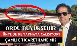 Ünyeli Turizmcilerden Ordu Büyükşehire Çamlık Tepkisi!