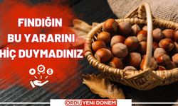 Fındığın Bu Yararını Hiç Duymamıştınız! İlk Defa Duyacaksınız.. Fındığın Yararları...