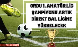 Ordu 1. Amatör Lig Şampiyonu Artık Direkt Bal Ligine Çıkacak! Flaş Gelişme..