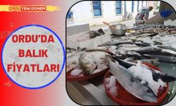 14 Ekim Ordu'da Balık Fiyatları! Fiyatlara Şok Olacaksınız..