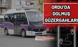 Ordu'da Dolmuş Güzergahları! Hangi Hat Nereye Gidiyor?