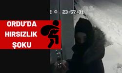 Ordu'da Bir Günde 3. Hırsızlık Şoku! Kar Maskeli Hırsız..