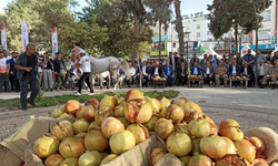 "SURUÇ 4. NAR FESTİVALİ" BAŞLADI