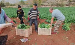 Tokat'ta çiftçiler Cumhuriyet'in 100. yılı kutladı