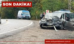 Son Dakika! Ordu'da Feci Kaza! Ölü Ve Yaralılar Var!