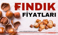 21 Ekim Fındık Fiyatları | Bugün Fındık Fiyatı