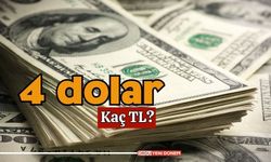 4 dolar kaç tl?