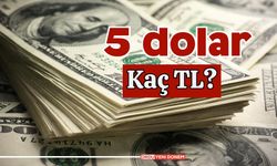 5 dolar kaç tl?