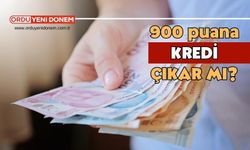 900 puana kredi veren bankalar hangileridir?