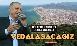 Cumhurbaşkanı Erdoğan'dan Seçim Mesajı: "Vedalaşacağız!"