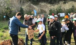 Gerze'de Milli Ağaçlandırma Günü'nde fidanlar toprakla buluşturuldu