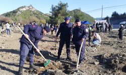 Kastamonu'da "Milli Ağaçlandırma Günü"nde fidanlar toprakla buluşturuldu