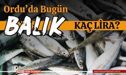 Balık Kaç Lira? - 21 Kasım 2023 ORDU Balık Fiyatları