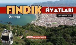 Ordu'da Fındık Kaç Lira? 26 Kasım Fındık Fiyatları