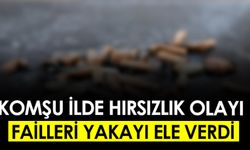 Hırsızlar Bakın Yakayı Nasıl Ele Verdi!