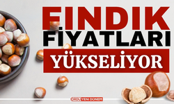 Fındık Fiyatları Aradığını Buldu! 16 Kasım Fındık Fiyatları