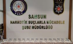 Samsun'da uyuşturucu operasyonunda 12 zanlı yakalandı