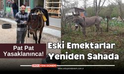 Ordu'da Pat Pat Yasaklandı! Katırlar Sokağa Çıktı!