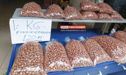 Ordu'da Fındığın Kilosu 120 TL!