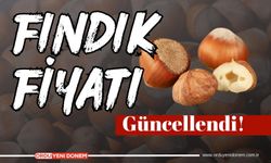 7 Kasım Fındık Fiyatları | Bugün Fındık Fiyatı