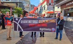 Eğitim İş'ten Ordu'da Eylem