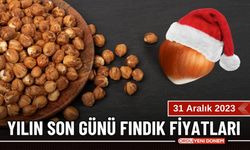 Bugün Ordu'da Fındık kaç lira? Fındık fiyatı 31 Aralık 2023