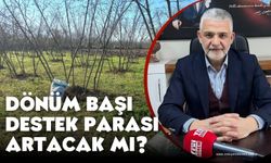 Ziraat Odası Başkanı Uyardı! Bu Yapılmazsa Ordu'dan Göç Başlar!