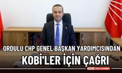 Demir: “KOBİ’lerin İflasa Sürüklenme Tehlikesi Var!”