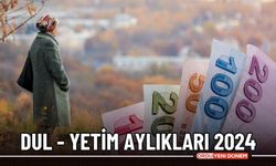 Dul ve Yetim Aylığı 2024 Maaşları Ne Kadar Olacak?