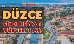 Düzce'de fındık kaç lira? 16 Aralık Cumartesi Düzce Fındık Fiyatları!