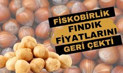 Fiskobirlik Fındık Fiyatını Geri Çekti! Piyasa Karıştı!