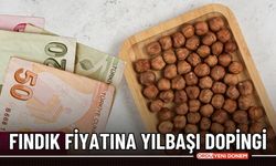 Yılın Son Günü Fındık Fiyatları | ORDU’DA FİYAT YÜKSELDİ!