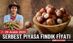 Ordu Serbest Piyasasında Fındık Fiyatı