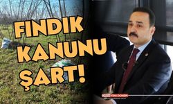 Fındıkta Dönüm Paraları Artıyor mu? Şanlıtürk’ten Açıklama!