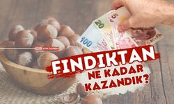 Türkiye fındıktan ne kadar gelir sağladı? İşte o rakamlar!