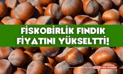 Fiskobirlik Fındık Fiyatı Kaç Lira? 15 Aralık 2023 Sakarya Düzce Ordu İl İl Fındık Fiyatları!