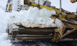 GÜNCELLEME - Karabük'te kardan kapanan köy yollarının tamamı ulaşıma açıldı