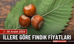 Bugün Fındık kaç lira? Ordu fındık fiyatı 30 Aralık 2023